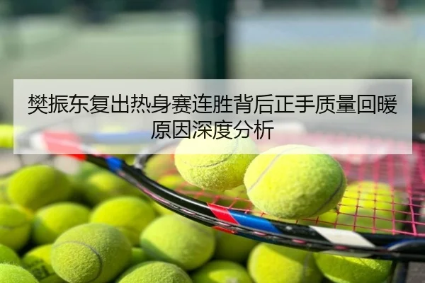 樊振东复出热身赛连胜背后正手质量回暖原因深度分析