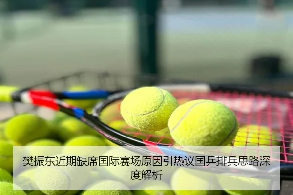 樊振东近期缺席国际赛场原因引热议国乒排兵思路深度解析