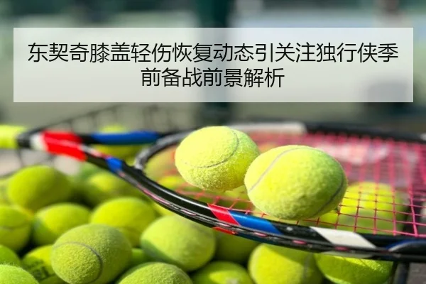 东契奇膝盖轻伤恢复动态引关注独行侠季前备战前景解析