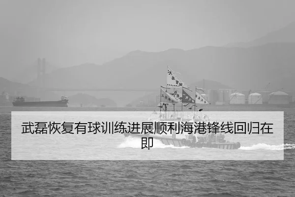武磊恢复有球训练进展顺利海港锋线回归在即